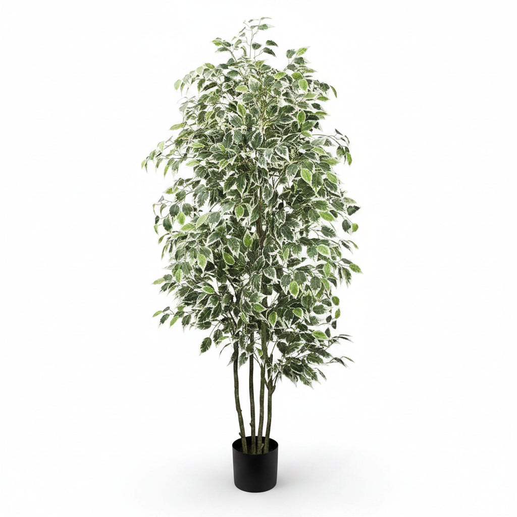 Plante artificielle haut de gamme - Ficus artificiel - Mafrenesiedecoration