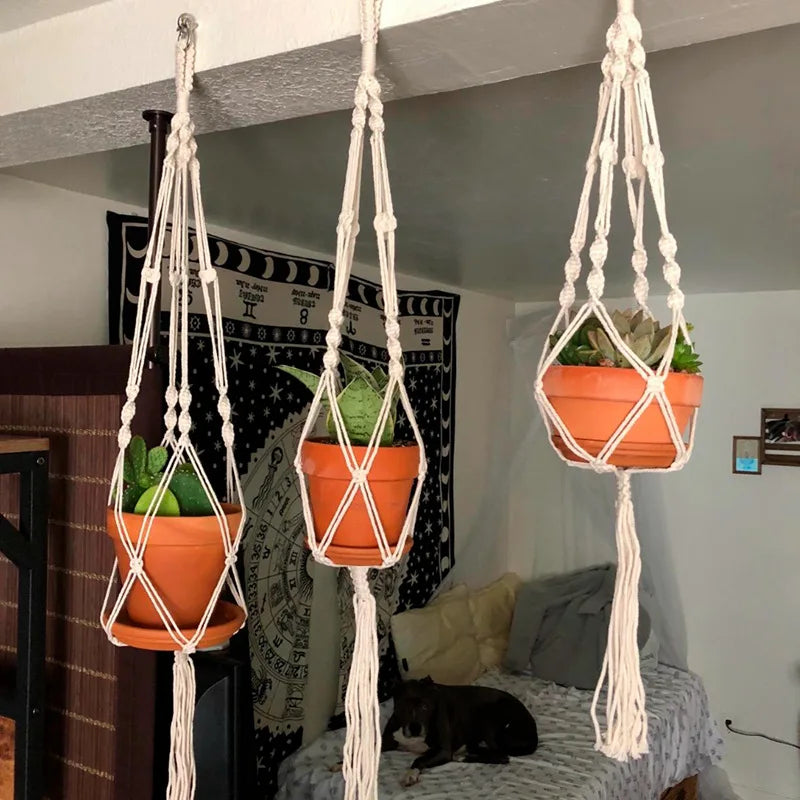 TroÍis suspensions de Íplantes en mÍacramĂ© faites Ă la main descendent avec grĂące dâun plafond blanc, chaque une berçant un pot en terre cuite aux teintes naturelles rempli de succulentes vÍertes brillanÍtes. Des dĂ©licats cordons ivoire forment noeuds et motifs compliquĂ©s, montrent savoirÍ-faire artisan. En bas,Í scĂ©nÍe Ídomestique chaude se dĂ©ploie avec tapisserie avec graphiques, coussins doux et un chien au repos, crĂ©ant atmosphĂšre boho et sans Ísouci.
