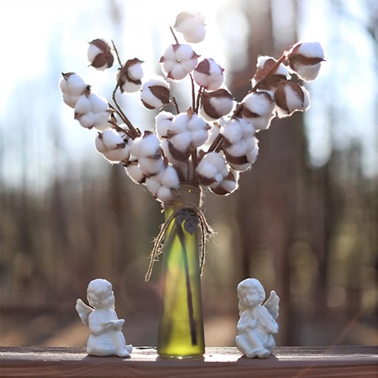 Plante artificielle - Coton Naturelle - Mafrenesiedecoration