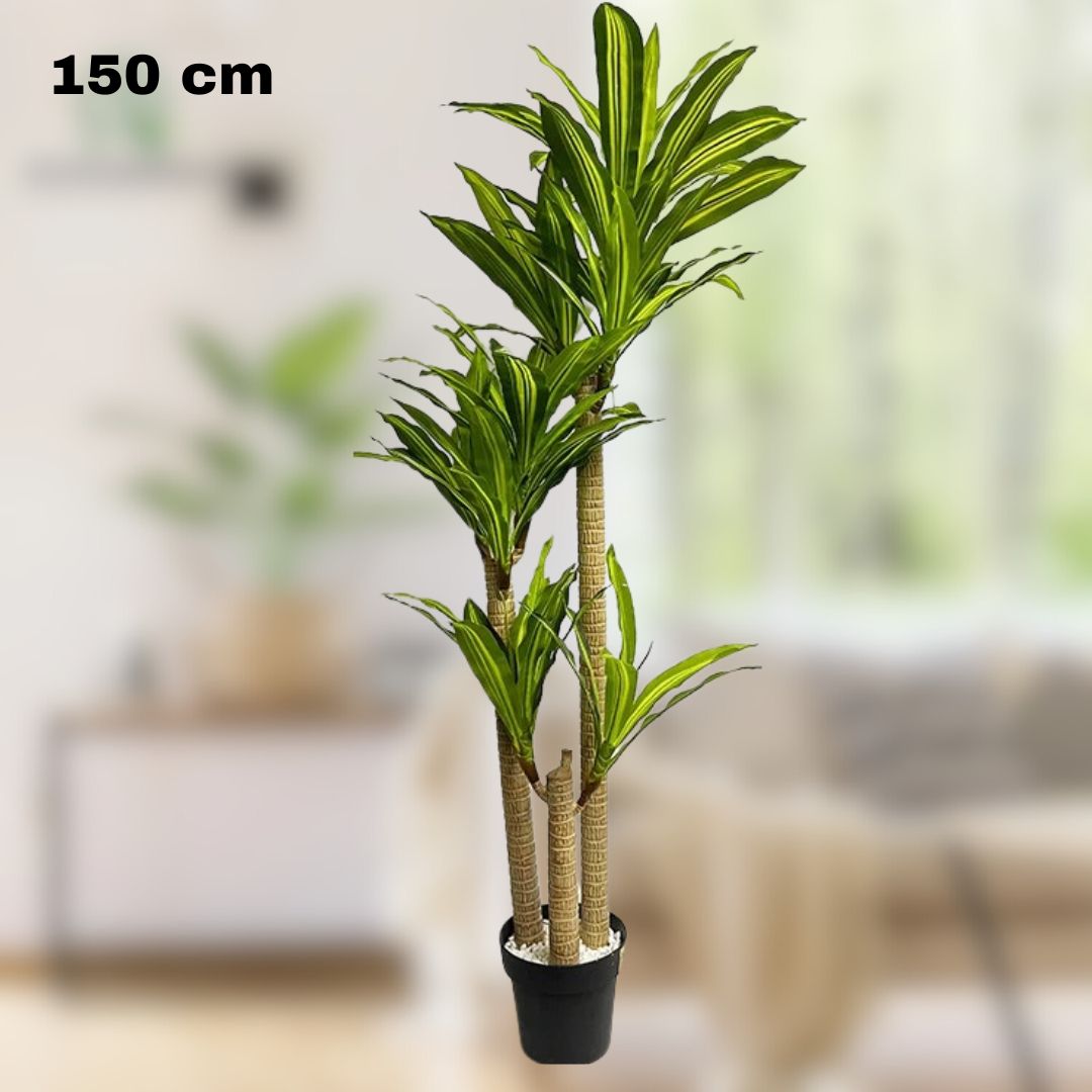 Une plante artificielle d'intérieur (Dracaena) de 150 cm de haut, aux longues tiges dressées et aux feuilles vertes pointues, trône à l'intérieur. Un salon avec canapé et table apportera une touche de modernité à votre espace de vie.