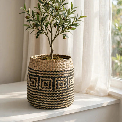 Cache-pot en fibres naturelles à motif noir avec olivier artificiel dans un salon clair