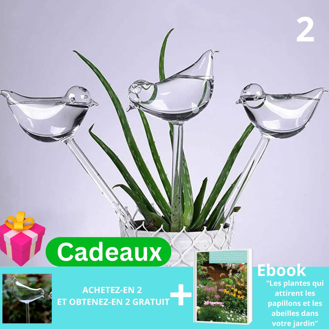 Vita-Plantᵀᴹ/Distributeur d'eau automatique pour plantes et fleurs