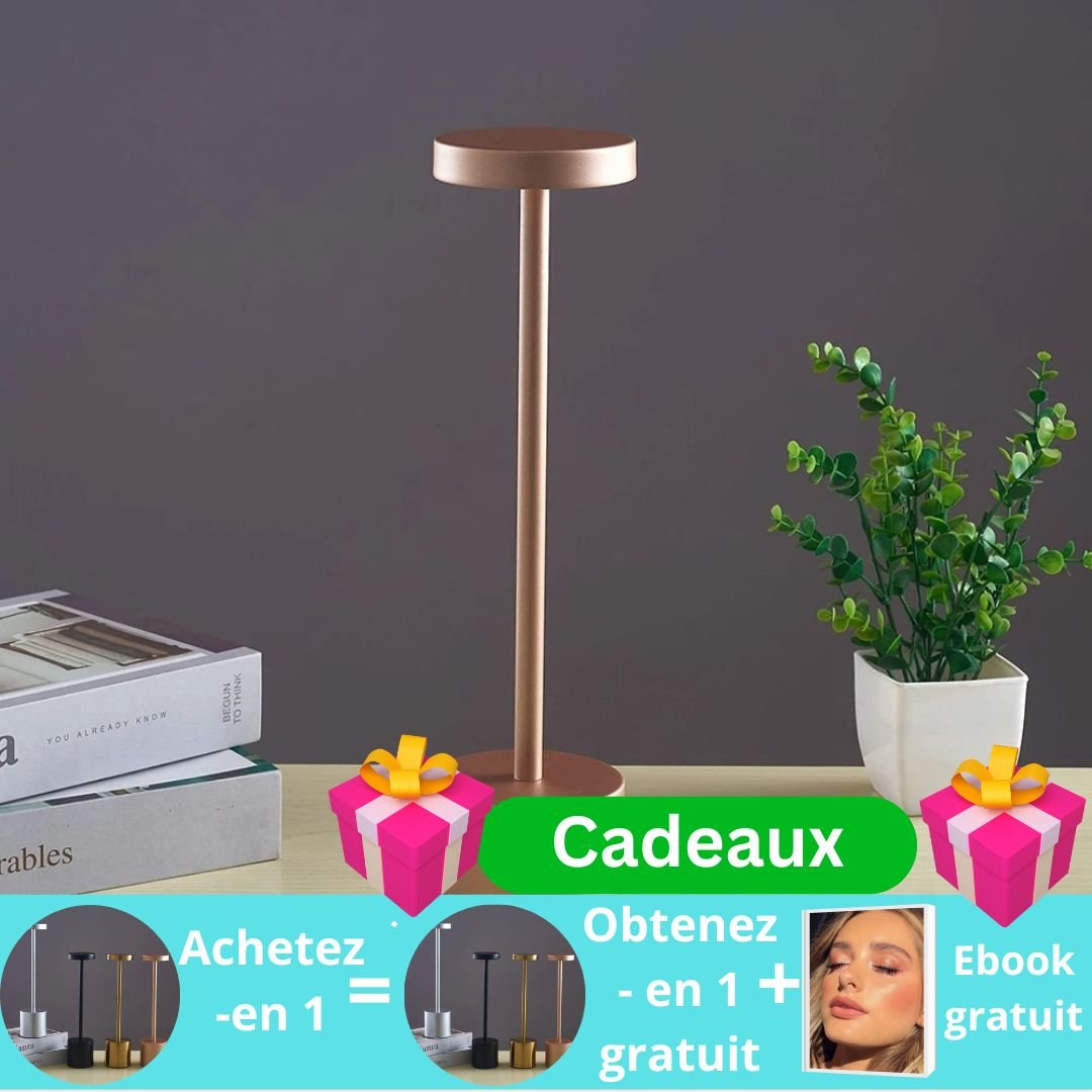 Night-Lightᵀᴹ/Lampe tactile rechargeable à USB - Mafrenesiedecoration