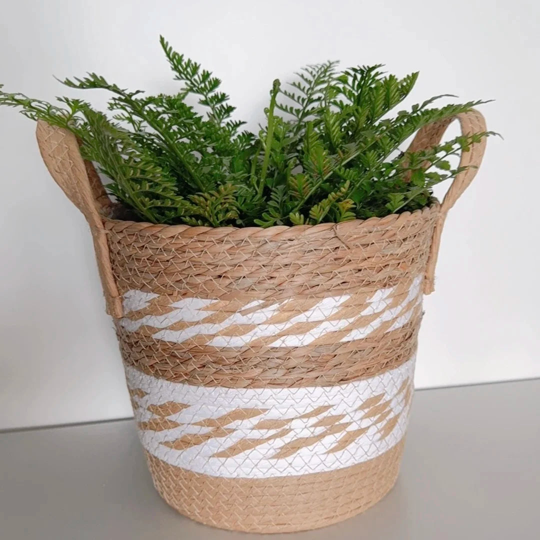Cache-pot herbe marine coloris Fancy losanges noirs taille 22 cm