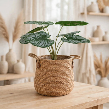 Cache-pot suspendu en fibre naturelle cylindrique coloris beige paille avec alocasia artificiel