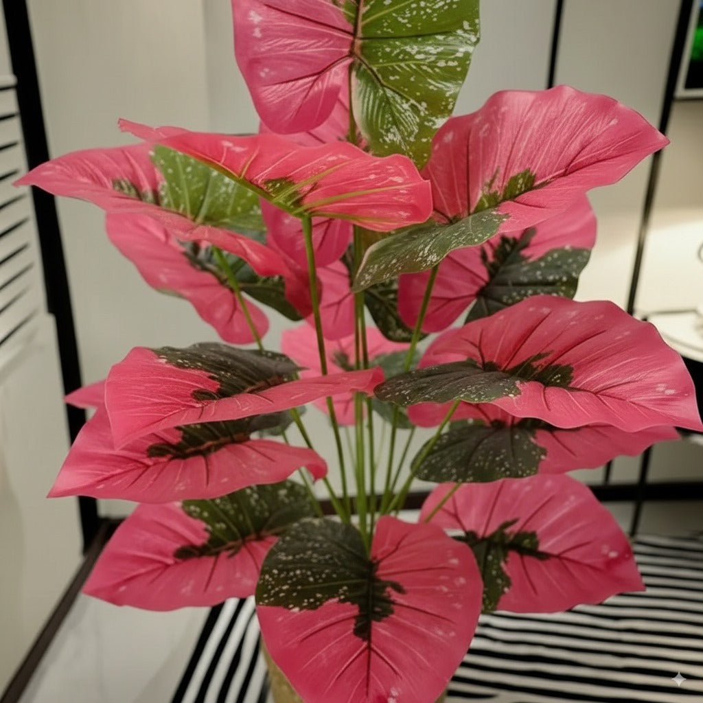 Grande plante artificielle Caladium rose et verte, feuillage luxuriant, fond blanc.
