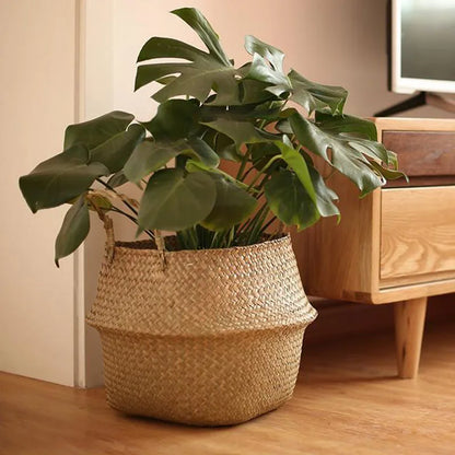 Monstera dans un panier en jonc de mer à côté d'un meuble en bois