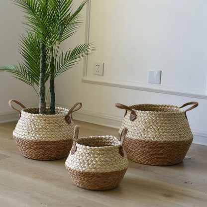 Cache-pot en rotin ventre arrondi coloris écru avec anses, posé sur parquet avec palmier artificiel