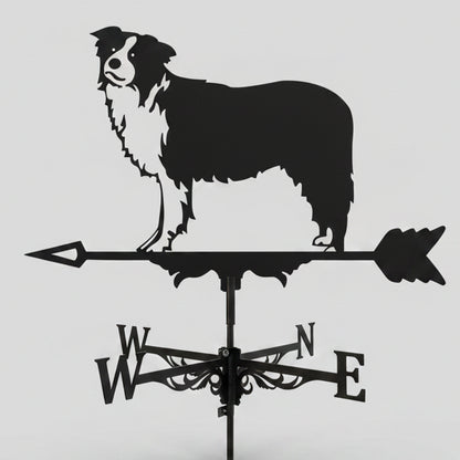 Girouette Animée Berger Australien en fer forgé noir avec silhouette de chien réaliste et points cardinaux sur fond blanc.