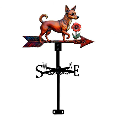 Girouette chien marron, fleur, flèche "wind", points cardinaux.