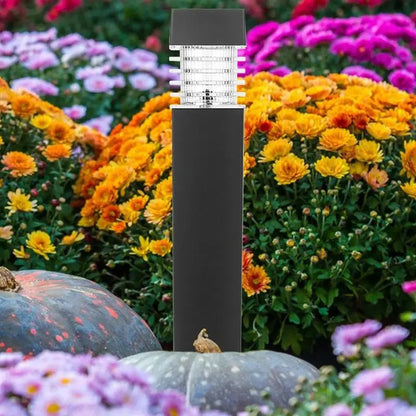 Un lampadaire dextérieur moderne est entouré de fleurs aux couleurs vives dans des tons orange, rose et violet. Une grande citrouille bleu-gris trône au premier plan, mettant en valeur le décor coloré du jardin.