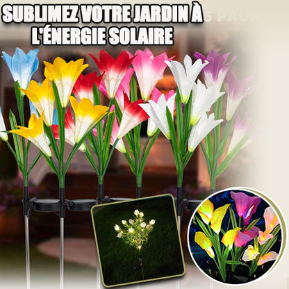 Lampe solaire pour le  jardin piquet fleur