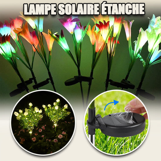 Lampe solaire pour le  jardin piquet fleur