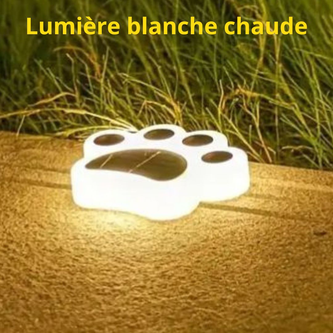 Lampe solaire Griffe de chat | InterEx LED