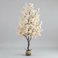 Plante Artificielle Intérieur Haut de Gamme Cerisier haut de gamme coloris Champagne — Arbre floral décoratif 120cm avec pétales beige nacrés pour salon élégant.salón elegante.