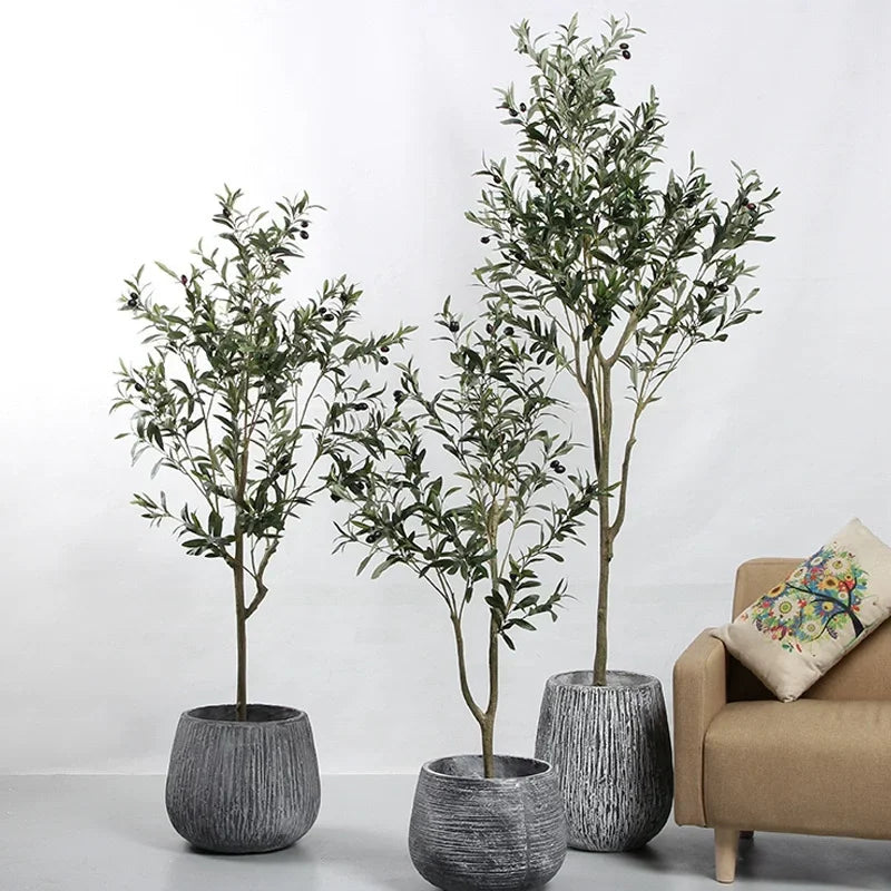 Trois oliviers de différentes hauteurs dans des pots texturés gris sont disposés à côté d'un fauteuil beige avec un coussin décoratif, le tout contre un mur blanc uni.