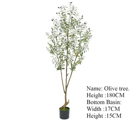 Plante artificielle extérieure-Olive, 180cm de haut, avec feuillage vert et olives noires. Idéale pour un jardin méditerranéen. Pot noir : 17cm de large sur 15cm de haut. Nom et dimensions affichés sur le côté.
