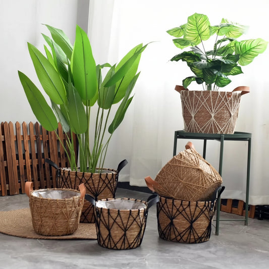 Cache pot noir à trame de cordons géométriques avec plantes vertes