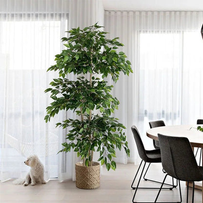 Plante artificielle - Ficus - Mafrenesiedecoration