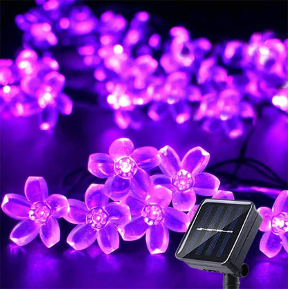 Une scène fantaisiste se déroule alors que des fleurs mauves et lumineuses illuminent un petit jardin, entourant. Les pétales rayonnent de nuances de m, projetant une lueur éthérée sur le feuillage sombre en dessous. Renforçant l'atmosphère tranquille de ce décor radieux et onirique.