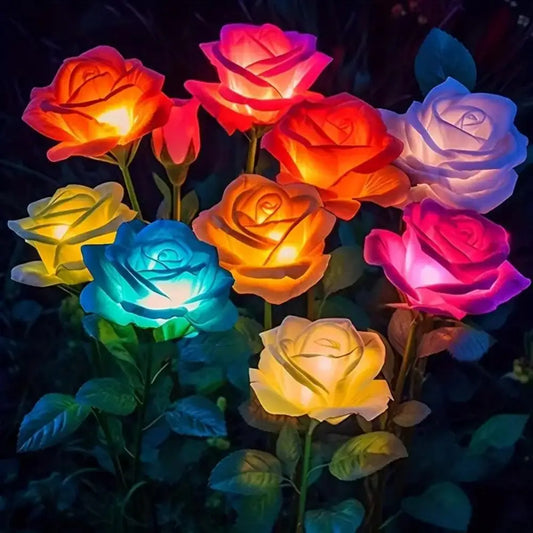 Lampes solaires/Fleurs lumineuses