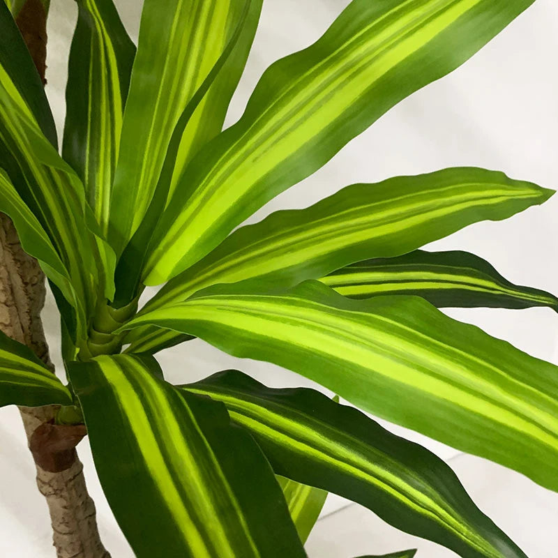 Gros plan sur les longues feuilles vertes pointues, rayées d'un vert-jaune vif, de la plante artificielle d'intérieur Dracaena. Idéale pour apporter une touche de fraîcheur à votre espace de vie ou rehausser une décoration moderne. Fond uni et clair.