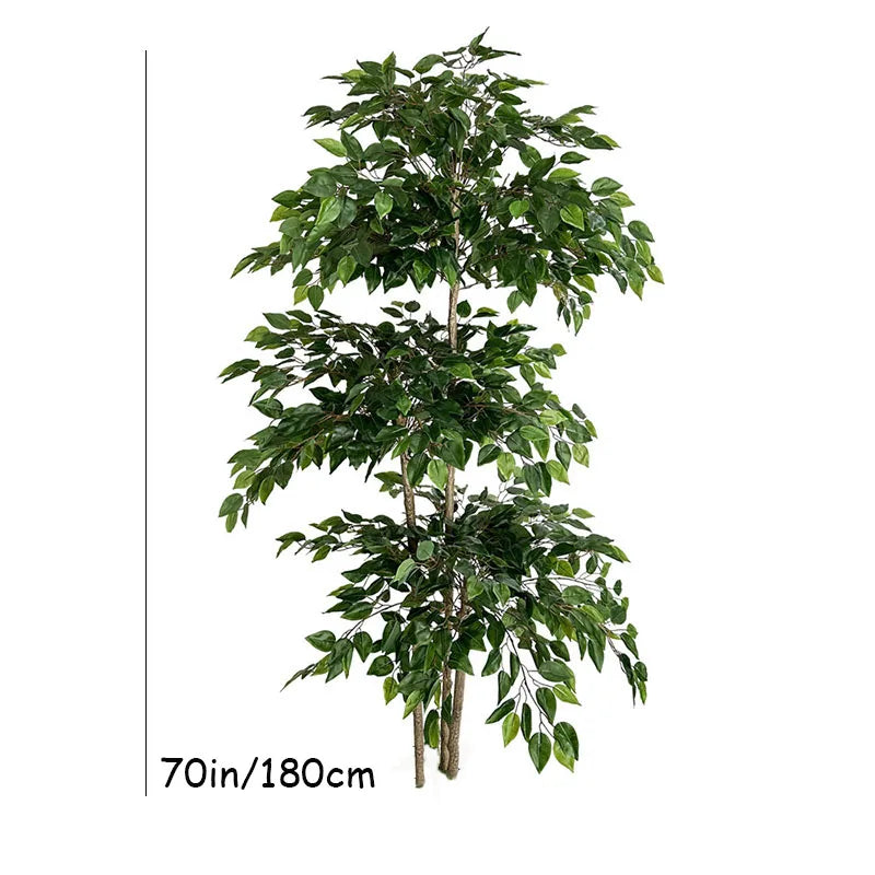 La Plante artificielle-Ficus se dresse sur un fond blanc, avec une ligne verticale à côté d'elle indiquant sa hauteur à 70 pouces (180 cm).