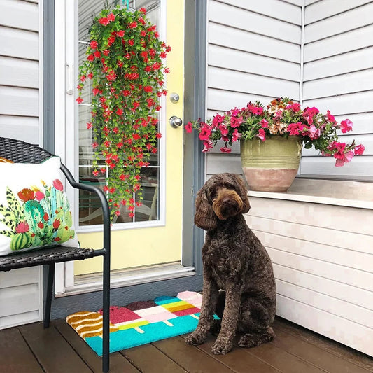 Un chien brun aux cheveux bouclés est assis sur un paillasson coloré près d'une porte jaune. Le revêtement gris du porche, la chaise avec son coussin et les plantes artificielles tombantes Cascade Bohème aux fleurs rose vif créent un décor végétal luxuriant et apaisant.