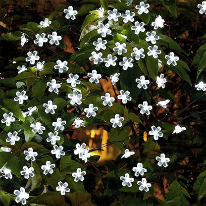 Une scène fantaisiste se déroule alors que des fleurs blanches et lumineuses illuminent un petit jardin, entourant. Les pétales rayonnent de nuances de m, projetant une lueur éthérée sur le feuillage sombre en dessous. Renforçant l'atmosphère tranquille de ce décor radieux et onirique.