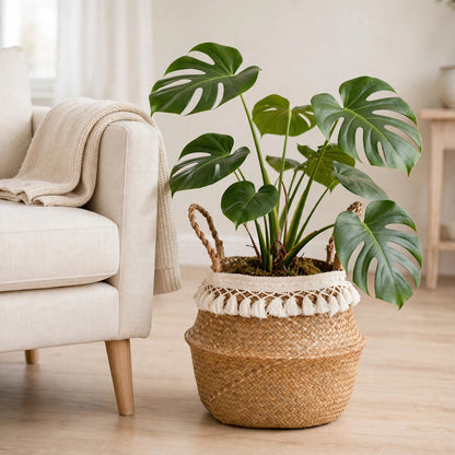 Panier en jonc de mer à pompons au pied d'un fauteuil en lin