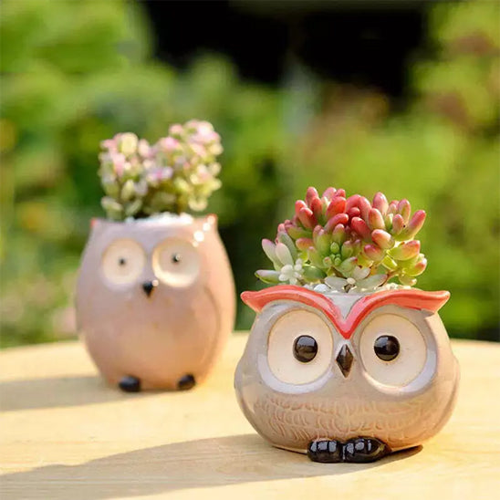 Pot de fleur décoratif unique | Pot Hibou™