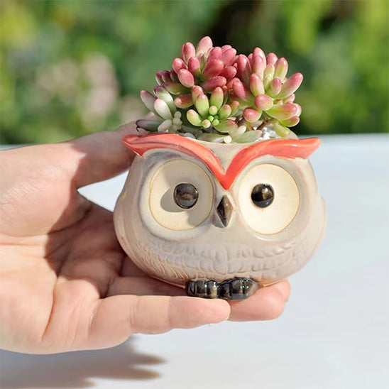 Pot de fleur décoratif unique | Pot Hibou™