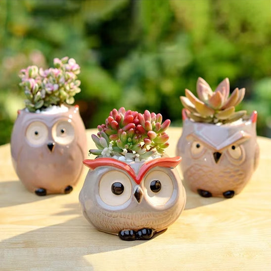 Pot de fleur décoratif unique | Pot Hibou™