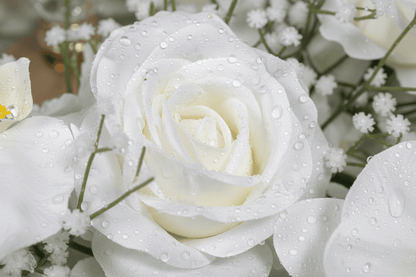 Détail macro pétales