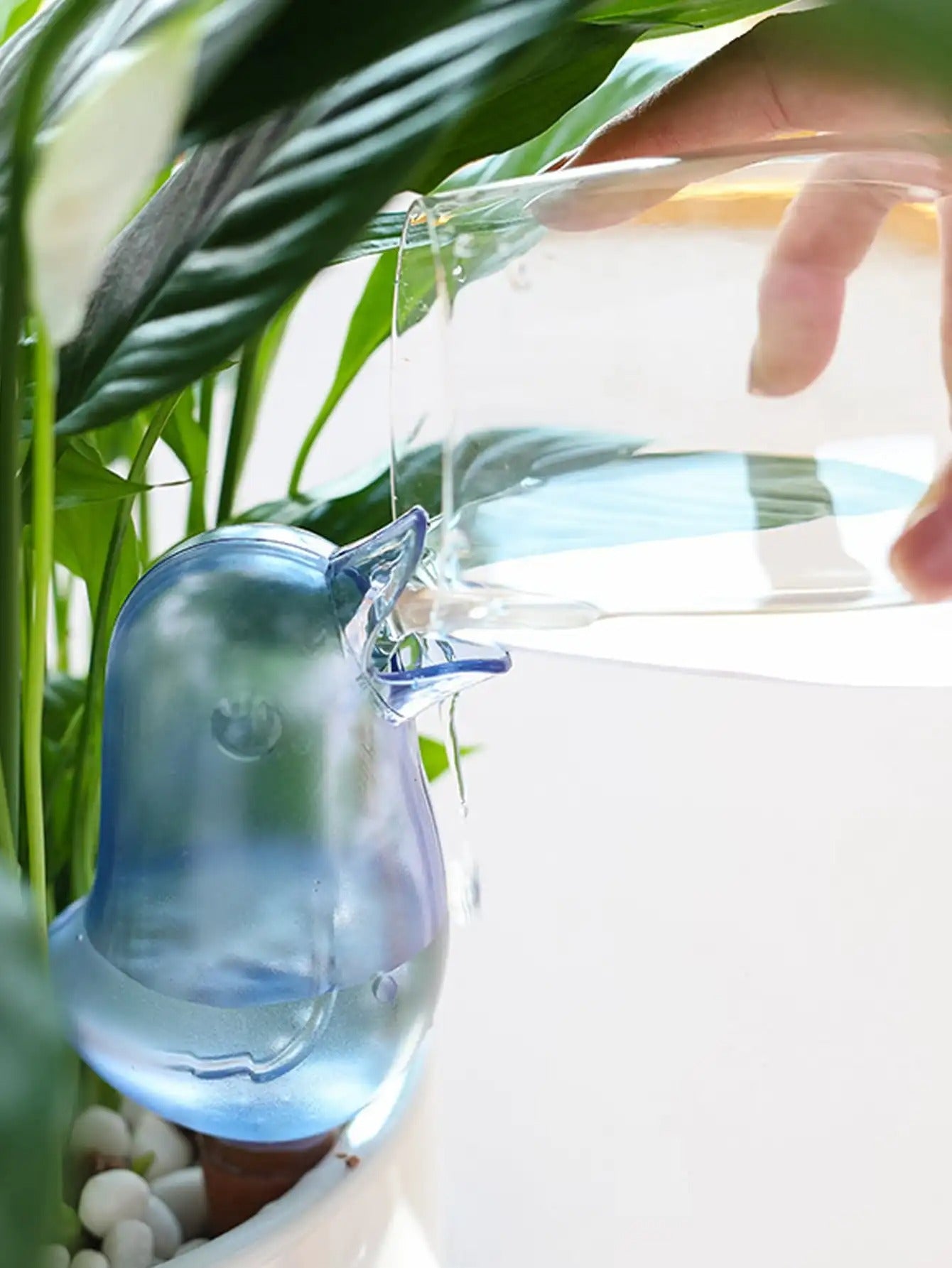 Distributeur d'Eau Automatique pour Plantes et Fleurs/ Eter-Plantsᵀᴹ