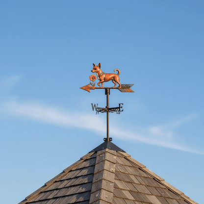 Girouette animal chihuahua installée sur toiture poteau - ornement petit chien jardin 1,5kg