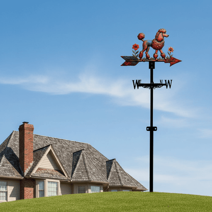 Girouette original caniche installée sur toiture poteau - ornement élégant jardin 1,5kg