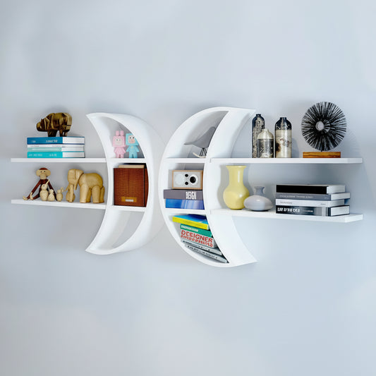 grandes étagères murales decorative exposition artistique curatée avec plantes livres art objets décoratifs transformant mur galerie