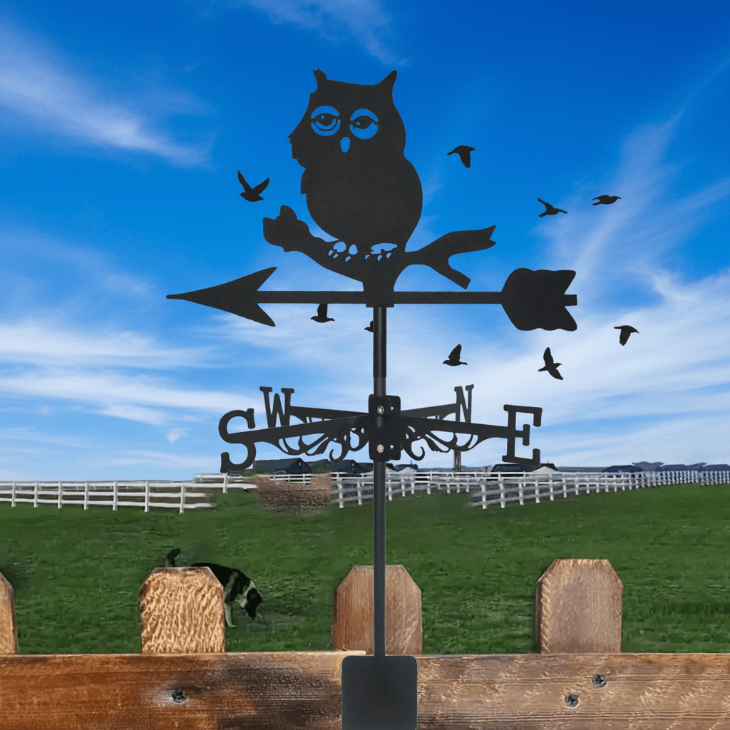 Image 8 - H2.5 final