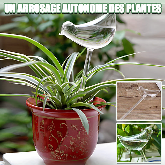 Vita-Plantᵀᴹ/Distributeur d'eau automatique pour plantes et fleurs