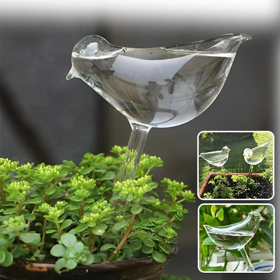 Vita-Plantᵀᴹ/Distributeur d'eau automatique pour plantes et fleurs