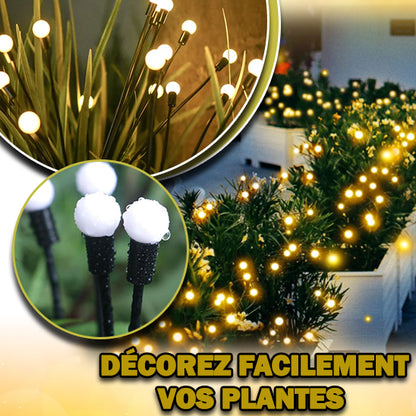 Les plantes vertes dans les jardinières sont agrémentées de guirlandes lumineuses rondes et de lampes solaires Lucio-Light™ de lecoledeschats. Deux gros plans montrent les lumières parmi les feuilles. Le texte ci-dessous dit : « DÉCOREZ FACILEMENT VOS PLANTES AVEC UN DESIGN MODERNE.