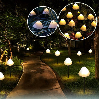 Un chemin de jardin est éclairé par des guirlandes LED en forme de champignon, similaires aux guirlandes solaires extérieur-champignon Nuit Lumineuse, qui diffusent une lueur chaleureuse. Les gros plans révèlent leur design en forme de capuchon et leur effet d'éclairage doux. Alimentées par l'énergie solaire, elles sont entourées d'arbres et d'herbe au milieu du feuillage.
