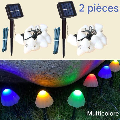 Deux ensembles de guirlandes solaires multicolores de type « Guirlandes solaires extérieur-champignon | Nuit Lumineuse » sont présentés. Chaque ensemble est doté d'un panneau solaire et de lumières en forme de fleur illuminées de couleurs assorties sur des rochers. Le texte indique « 2 pièces » et « Multicolore ». Parfait pour votre décoration de jardin.