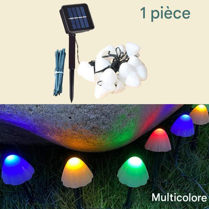 Les guirlandes solaires extérieur-champignon | Nuit Lumineuse sont composées de coques blanches projetant des lueurs bleues, jaunes, vertes et rouges enchanteresses sur les rochers. Le texte indique « 1 pièce » et « Multicolore ». Parfait pour tout décor extérieur.