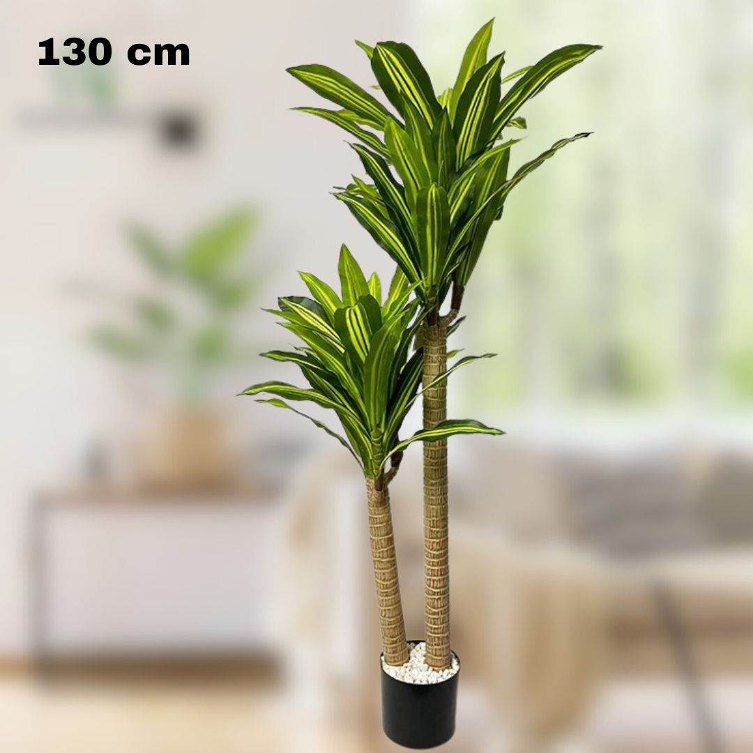 La plante artificielle d'intérieur-Dracaena présente deux hautes tiges et de longues feuilles rayées vertes, mesure 130 cm de haut et apporte une touche moderne à votre décor dans n'importe quel espace de vie flou.