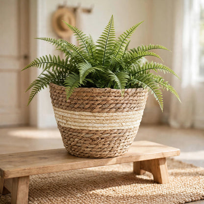 Cache pot tressé en fibre végétale avec fougère dans un intérieur clair