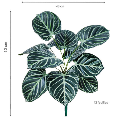 Plantes artificielles comme des vraies | Naturalis Éternel