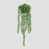 Plante Artificielle Tombante Feuilles Perles - Verde | NaturaDeco - Mafrenesiedecoration