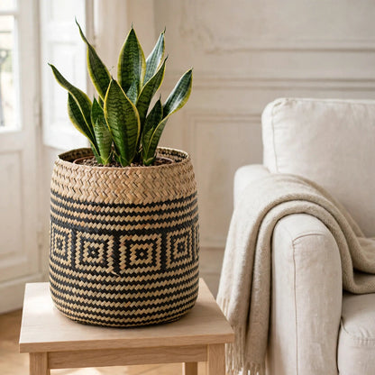 Cache pot original à motif noir posé dans un intérieur naturel